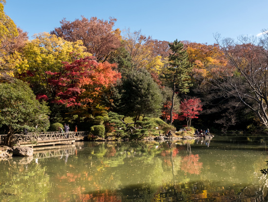 あああ緑豊かで気分爽快!「有栖川宮記念公園」